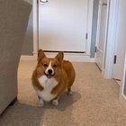 How high can you jump?