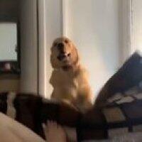 WAKE . UP . AND . FEED ME