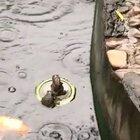 There is no room for you here