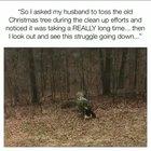 Getting rid of tree wasn’t easy ,