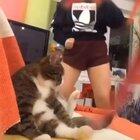 How many Redditors feel about Tik Tok