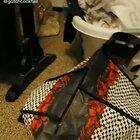 Watch out for crabby