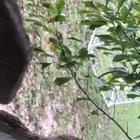 If you think that you have problems... Remember this squirrel...