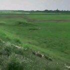 Oh my god, you f*cking kids... I'VE GOT PLACES TO BEEEEEE!