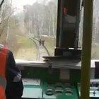 Bitch, get off the tracks!