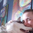 Mirah, the snuggle-bug ❤️