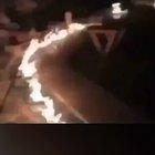 Dinner time for hungry ape