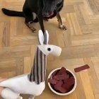 Tem Corona nessa comida