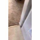 I hate birds so much