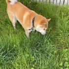 He gets a nervous stomach from listening to the news.