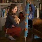 Jumping into the abyss...