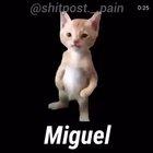 El es Miguel