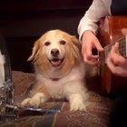 i'll help you with the kicks