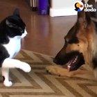 That Ending Put The Cherry On Top