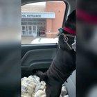 Boy cries when missing dog returns home