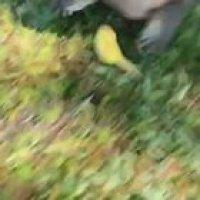 How dare you give me a half banana Karen ?