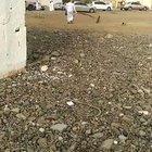 HMFT after I get blasted