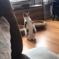 Whatcha doin' there?