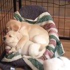 Excellent Place for Sleeping