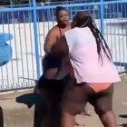 Charge of the Light Brigade