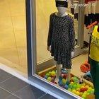 Just a simple cat having fun