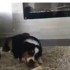 You know that feeling when your song comes on....