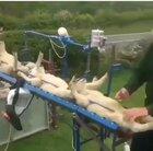 Lamb conveyor