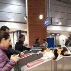 I'm a conductor, ticket plz!