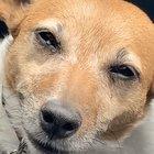 Boop for her 12th birthday