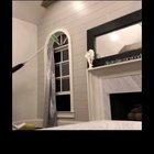 A scream of pure terror