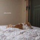 Whoa, what is that??