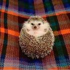 The change in expression is just too cute