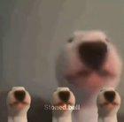 Mi pana Walter cantando Bohemian Rhapsody