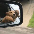 When you love the wind running through your hair