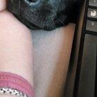 Pet the poor doggo already!