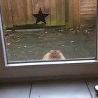 I’m always watching you Phil.