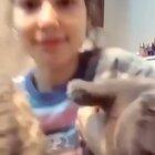 This was a dumb idea