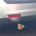 Non-stop partying can be rather exhausting.