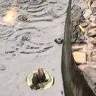 Jack and Rose (1912 colorized)