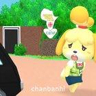 Why are you running caw caw