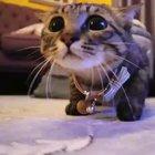 She is ready to protect the world.