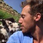 The ultimate compilation of animals being awesome!