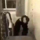 video completo español creepypasta