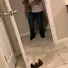 That's one way to get rid of your hamster