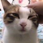 When you ignore battery critically low on your laptop