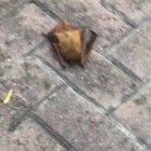 I got scared lol ((old video I found))