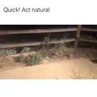 This vid just made my day even better