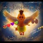 |نيغا| الجنس الاباحية الفئران|نيغا| الجنس (sad alert) الاباحة. Hamoud is Allah الفئران|نيغا| الجنس360p الاباحية الفئران