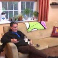 Definitely did not want a cat.