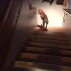 Plays jumpy catch by itself!